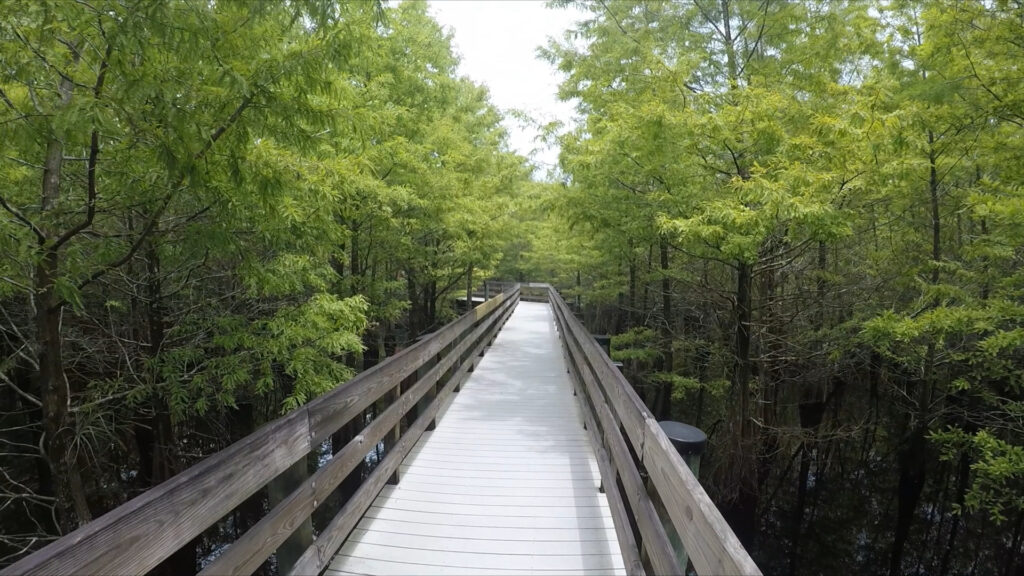 Six Mile Cypress Slough